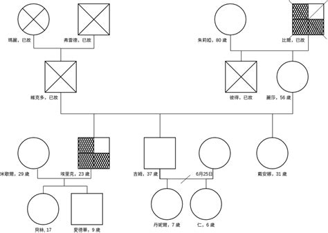 家庭圖關係線|附錄 9 製作家系圖(Genogram)